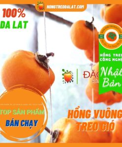 Hồng Treo Đà Lạt