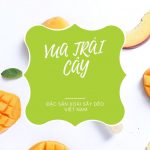 xoai-say-deo-viet-nam
