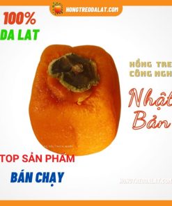 Hồng treo gió 250Gram