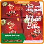 Hồng treo gió Việt Nhật (1)